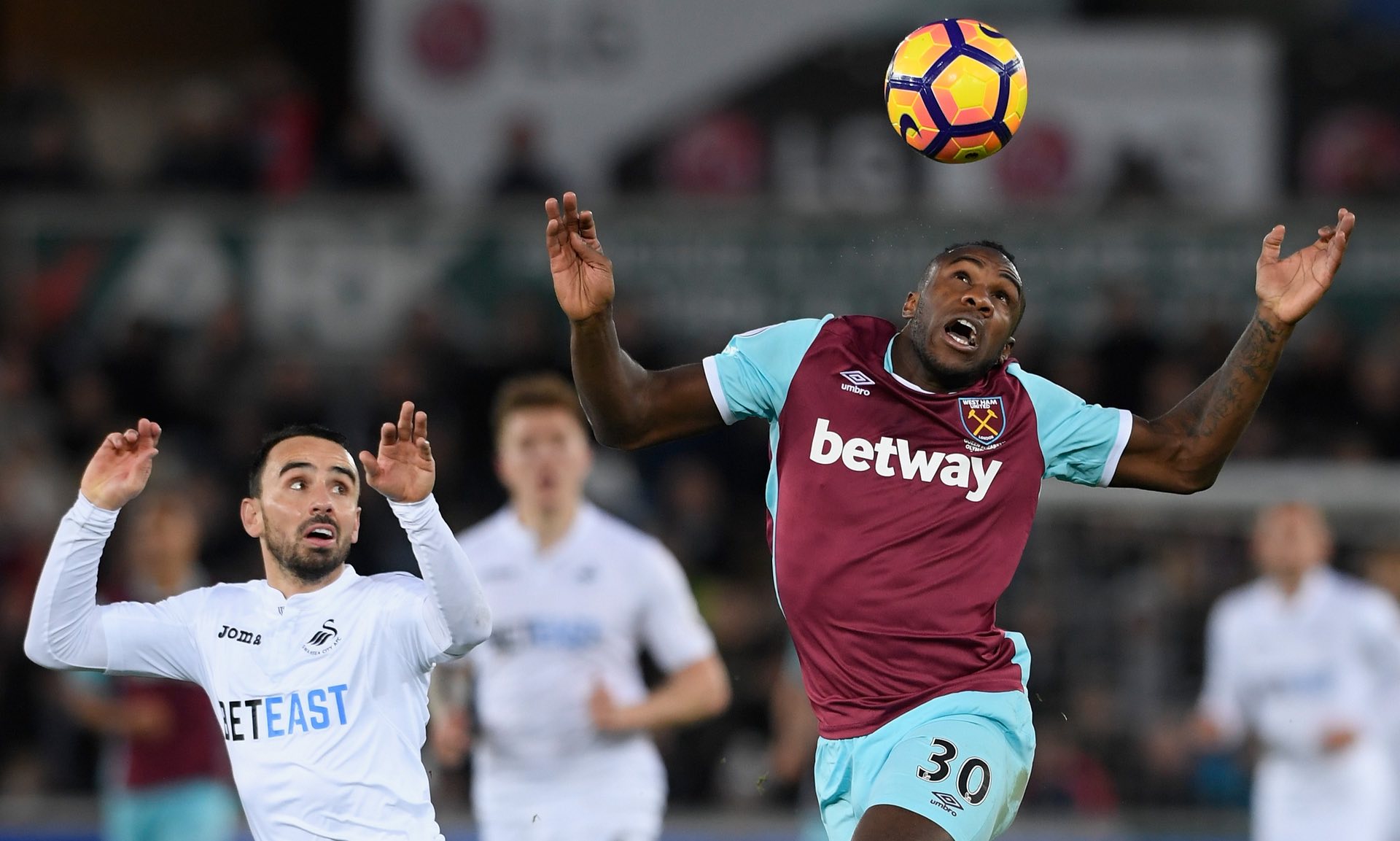 美国不仅提 美国不仅提