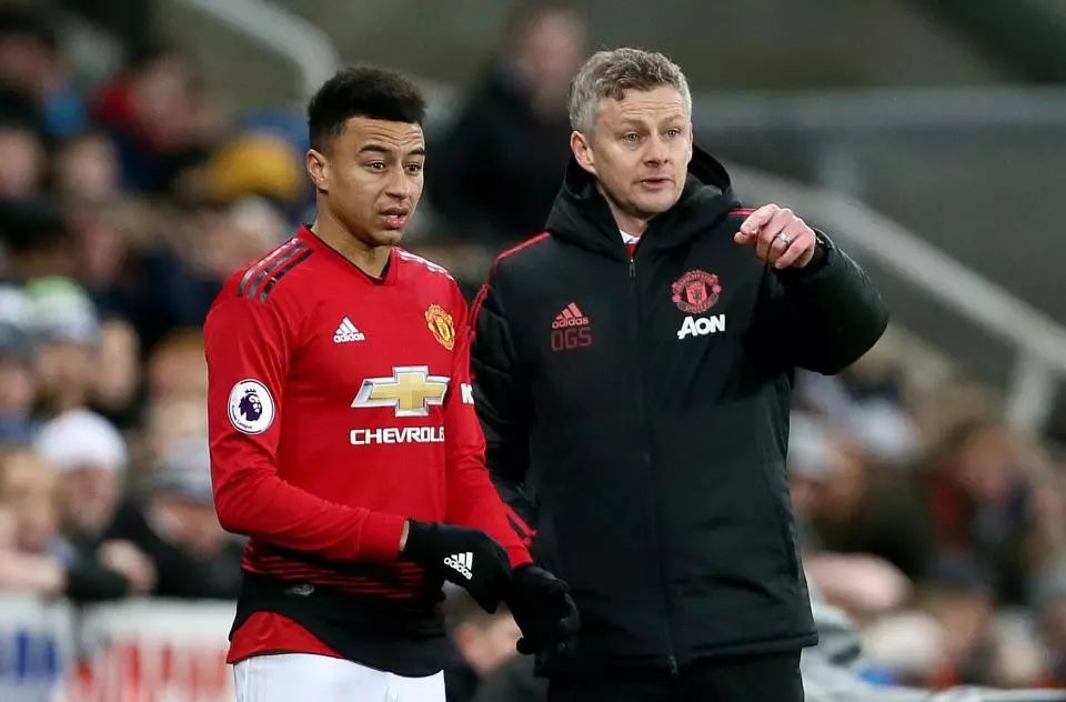 他还大大提 他还大大提